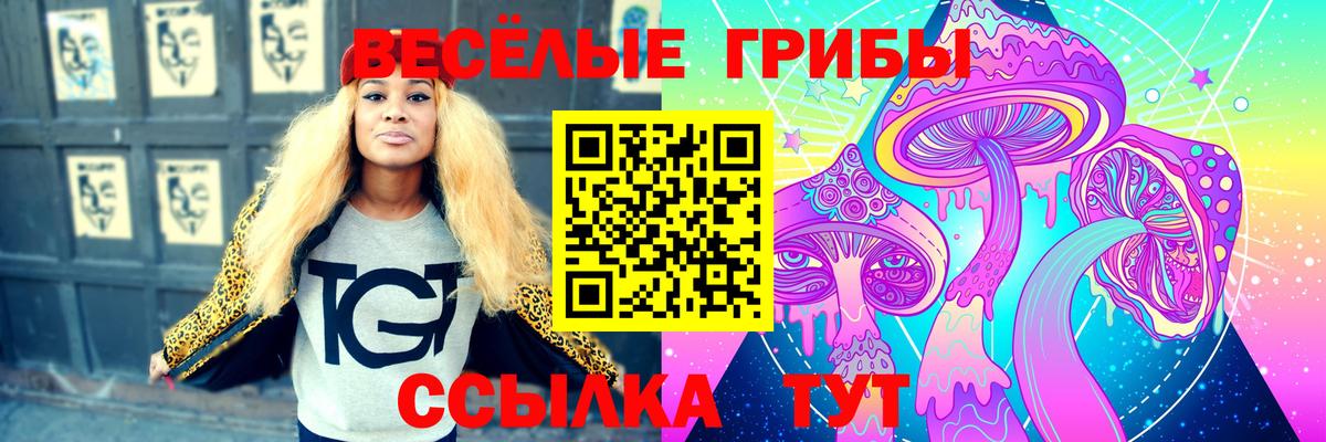 Красногорск  магазин    Галлюциногенные грибы мухоморы  Вход с VPN  Псилоцибиновые грибы Cubensis 